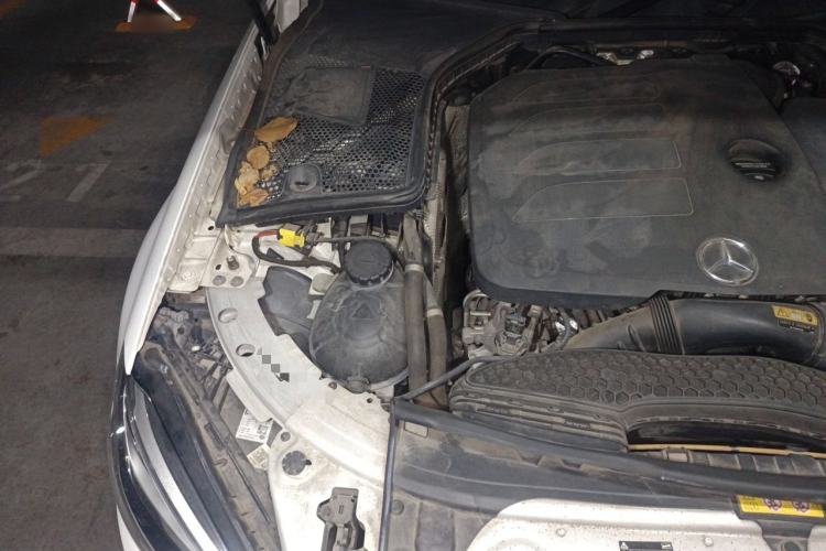 Used Mercedes-Benz C-Class 2019 C 260 L Sport Edition Engine Bay Right