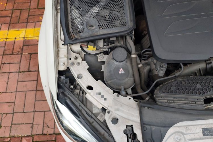 Used Mercedes-Benz C-Class 2019 C 260 L Sport Edition Engine Bay Right