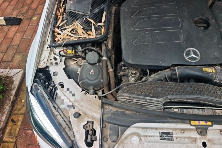 Used Mercedes-Benz C-Class 2019 C 260 L Sport Edition Engine Bay Right