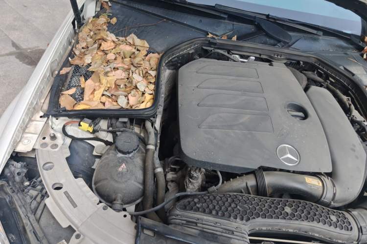 Used Mercedes-Benz C-Class 2019 C 260 Sport Edition Engine Bay Right