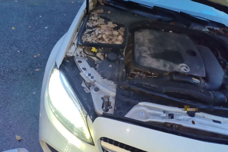 Used Mercedes-Benz C-Class 2019 Restyled C 260 L Sport Edition Engine Bay Right