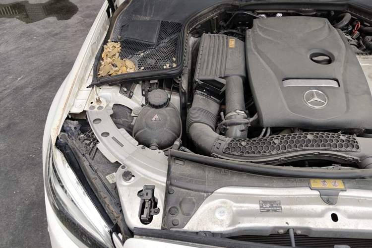 Used Mercedes-Benz C-Class 2019 C 180 L Fashion Edition Sport Version Engine Bay Right