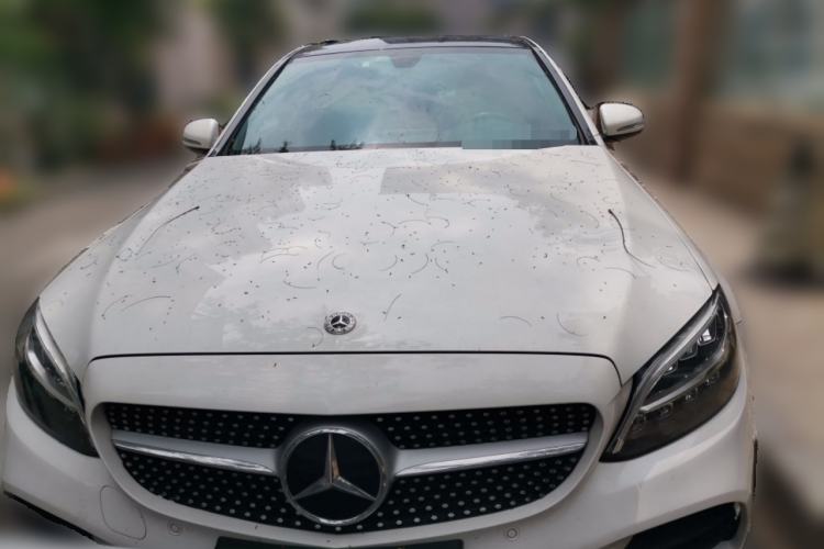 Used Mercedes-Benz C-Class 2019 C 260 L Sport Edition Front
