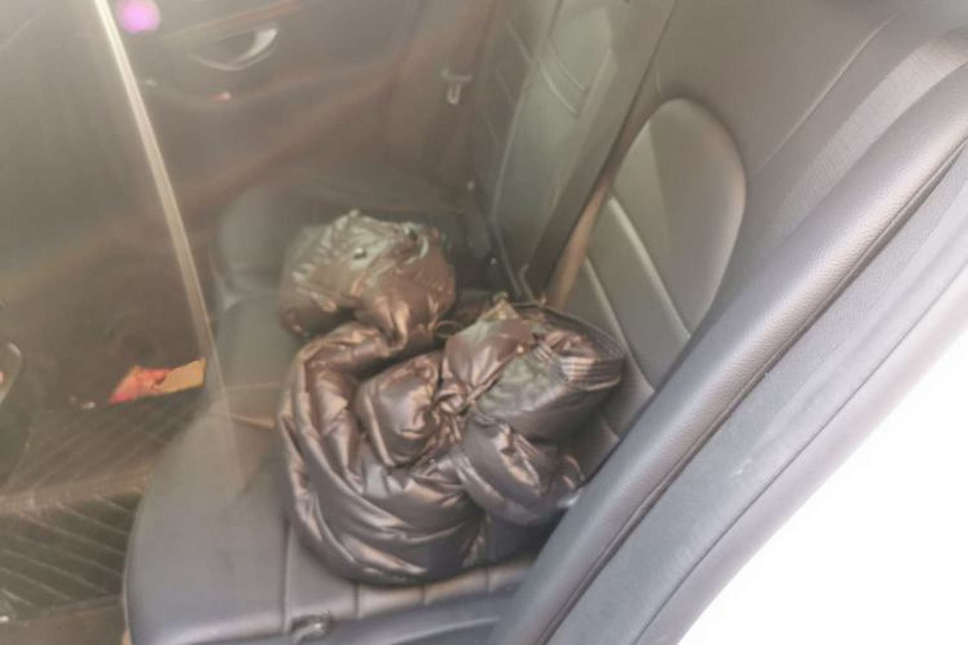 Used Mercedes-Benz C-Class 2019 C 260 L Sport Edition Left Rear Seat