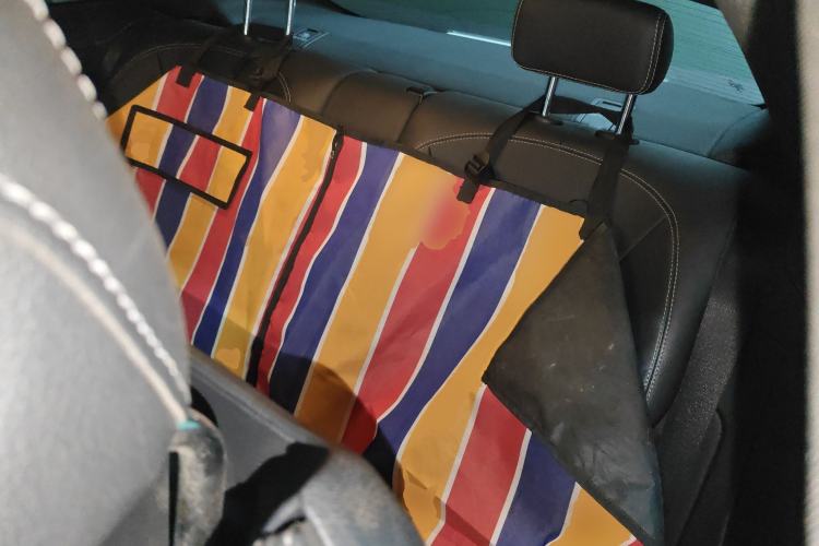 Used Mercedes-Benz C-Class 2019 C 260 Coupe Left Rear Seat