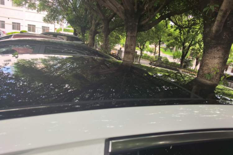Used Mercedes-Benz C-Class 2019 C 260 L Sport Edition Roof