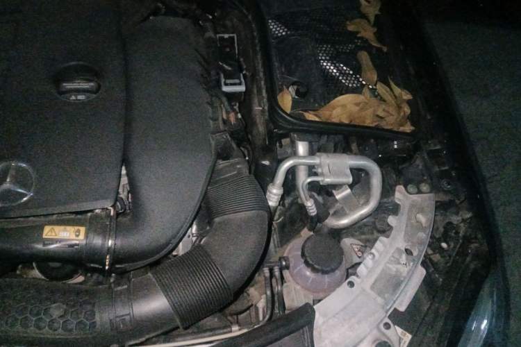 Used Mercedes-Benz C-Class 2020 C 260 L Sport Edition Engine Bay Left