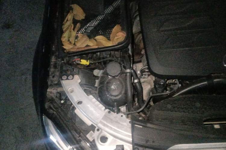 Used Mercedes-Benz C-Class 2020 C 260 L Sport Edition Engine Bay Right