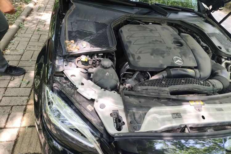 Used Mercedes-Benz C-Class 2020 C 200 L Fashion Edition Sport Version Engine Bay Right