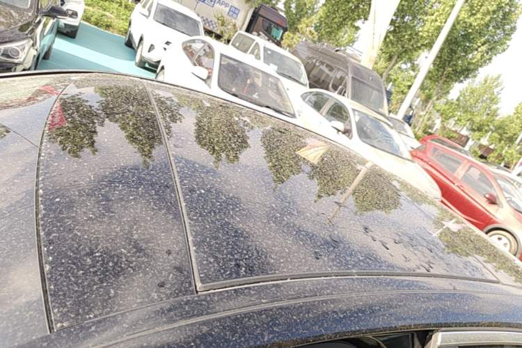 Used Mercedes-Benz C-Class 2020 C 260 L Roof
