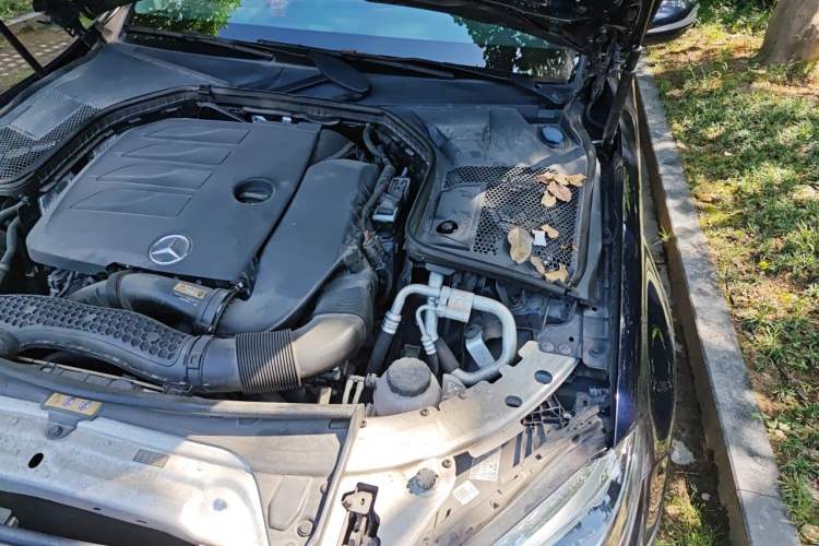 Used Mercedes-Benz C-Class 2020 C 260 L Sport Edition Engine Bay Left