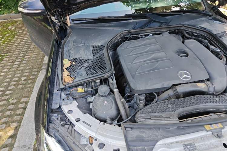 Used Mercedes-Benz C-Class 2020 C 260 L Sport Edition Engine Bay Right