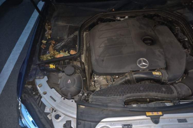 Used Mercedes-Benz C-Class 2020 C 200 L Fashion Edition Sport Version Engine Bay Right