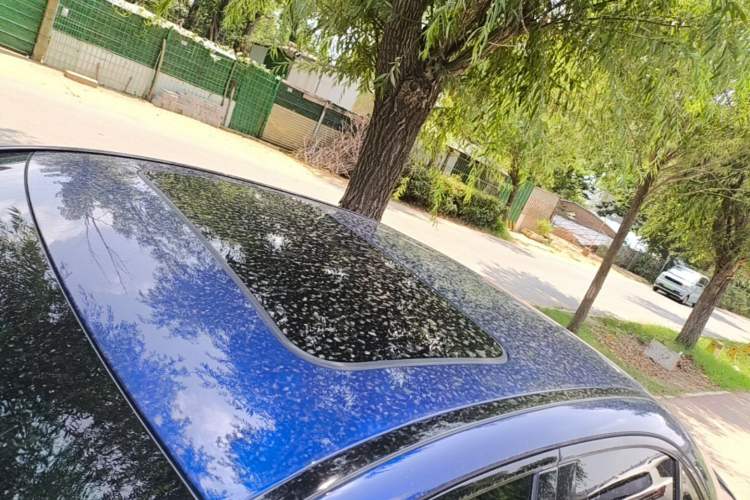 Used Mercedes-Benz C-Class 2020 C 260 Sport Edition Roof