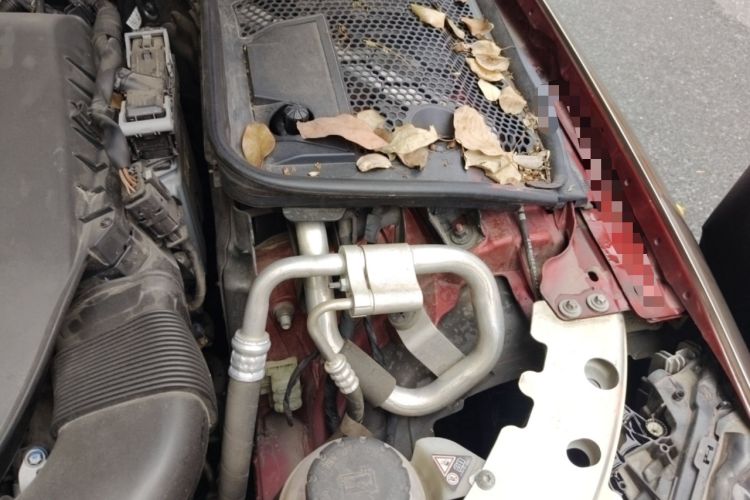Used Mercedes-Benz C-Class 2020 C 260 L Sport Edition Engine Bay Left