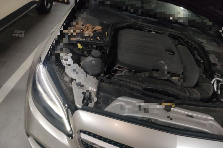 Used Mercedes-Benz C-Class 2020 Restyled C 200 L Fashion Edition Sport Version Engine Bay Right