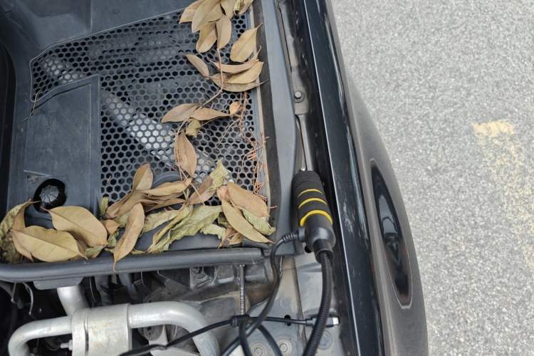 Used Mercedes-Benz C-Class 2020 C 260 L Sport Edition Engine Bay Left