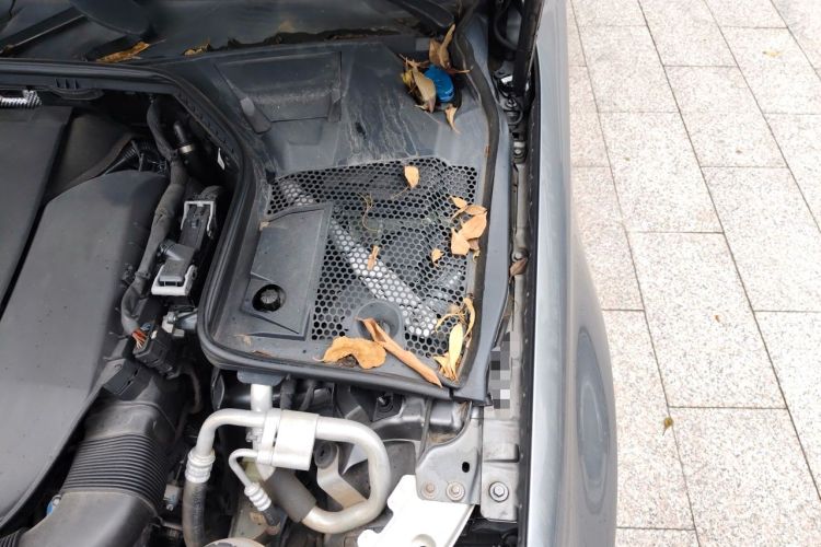 Used Mercedes-Benz C-Class 2020 Restyled C 260 L Sport Edition Engine Bay Left