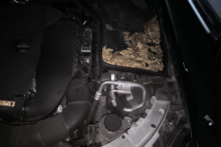 Used Mercedes-Benz C-Class 2020 Restyled C 260 Sport Edition Engine Bay Left