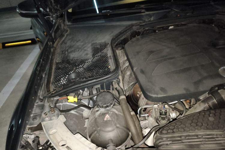 Used Mercedes-Benz C-Class 2020 C 260 L Sport Edition Engine Bay Right
