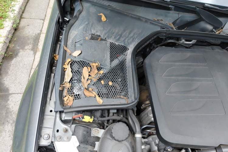 Used Mercedes-Benz C-Class 2020 Restyled C 260 L Sport Edition Engine Bay Right