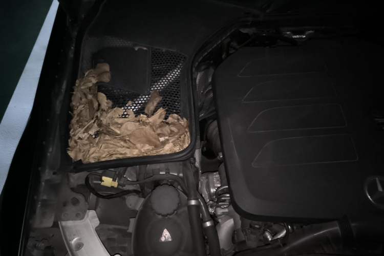 Used Mercedes-Benz C-Class 2020 Restyled C 260 Sport Edition Engine Bay Right