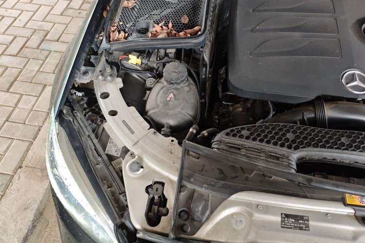 Used Mercedes-Benz C-Class 2020 Updated C 200 L Fashion Edition Engine Bay Right