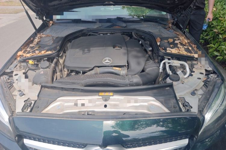 Used Mercedes-Benz C-Class 2020 Restyled C 260 L Sport Edition Engine Bay