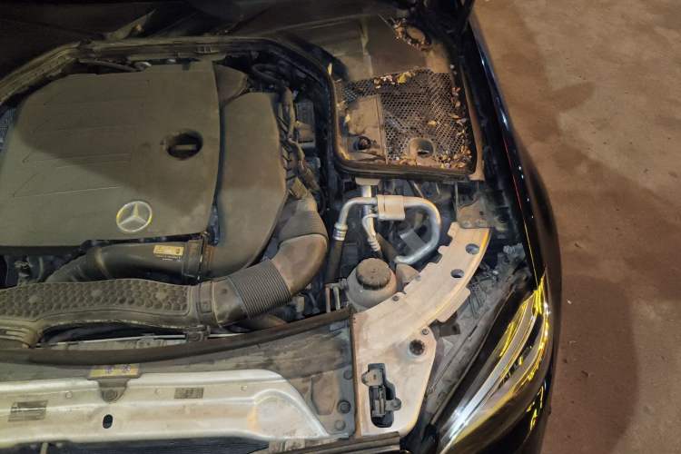 Used Mercedes-Benz C-Class 2020 C 260 L Sport Edition Engine Bay Left