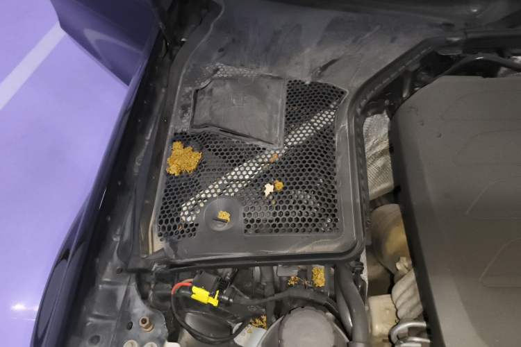 Used Mercedes-Benz C-Class 2020 C 260 Sport Edition Engine Bay Right