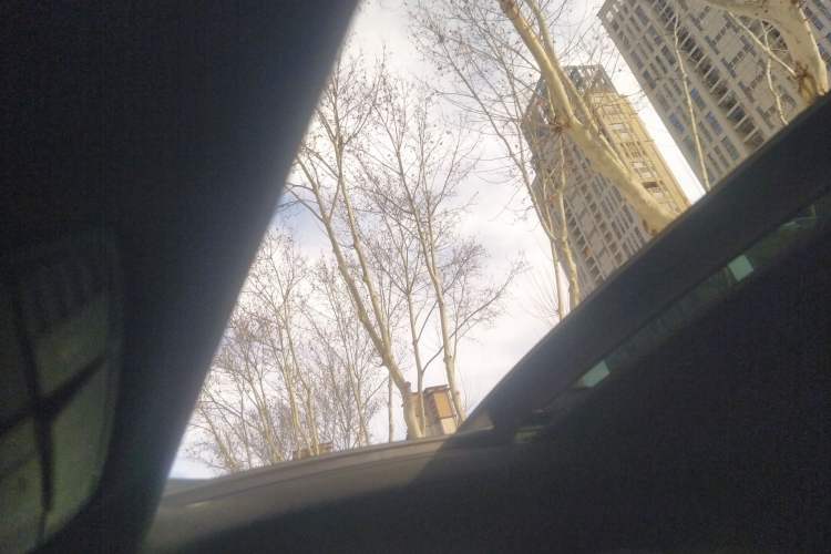 Used Mercedes-Benz C-Class 2020 C 260 Coupe Headliner