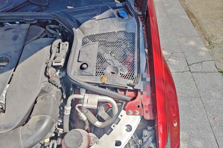 Used Mercedes-Benz C-Class 2020 C 260 Sport Edition Engine Bay Left