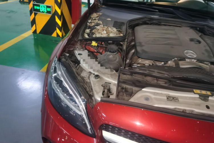 Used Mercedes-Benz C-Class 2020 C 200 L Fashion Edition Sport Version Engine Bay Right