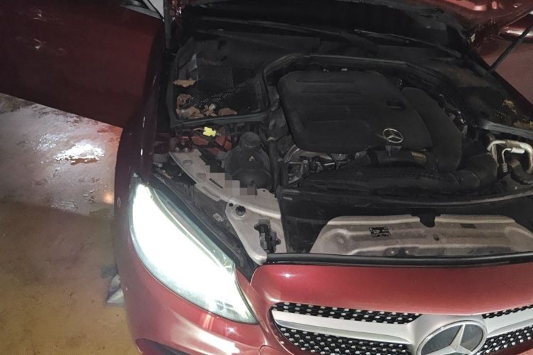 Used Mercedes-Benz C-Class 2020 C 260 L Sport Edition Engine Bay Right