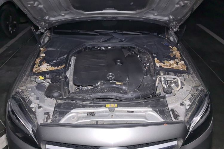 Used Mercedes-Benz C-Class 2020 C 260 L Sport Edition Engine Bay