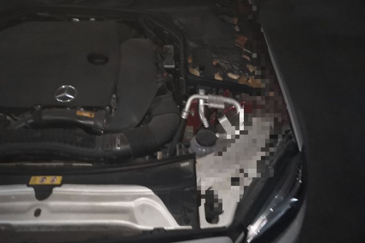 Used Mercedes-Benz C-Class 2020 C 260 Coupe Engine Bay Left
