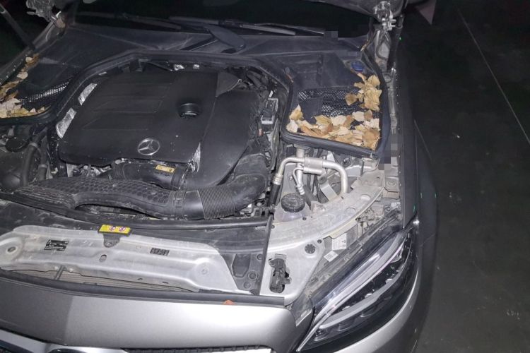 Used Mercedes-Benz C-Class 2020 C 260 L Sport Edition Engine Bay Left