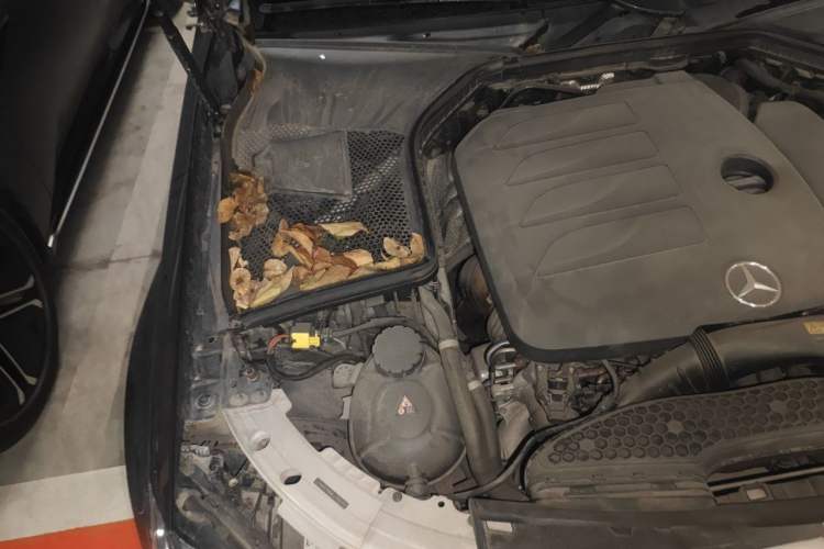 Used Mercedes-Benz C-Class 2020 Restyled C 260 L Sport Edition Engine Bay Right