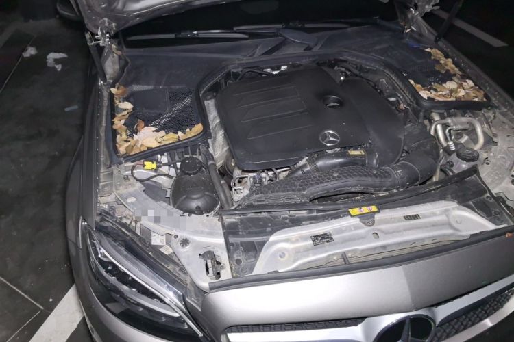 Used Mercedes-Benz C-Class 2020 C 260 L Sport Edition Engine Bay Right