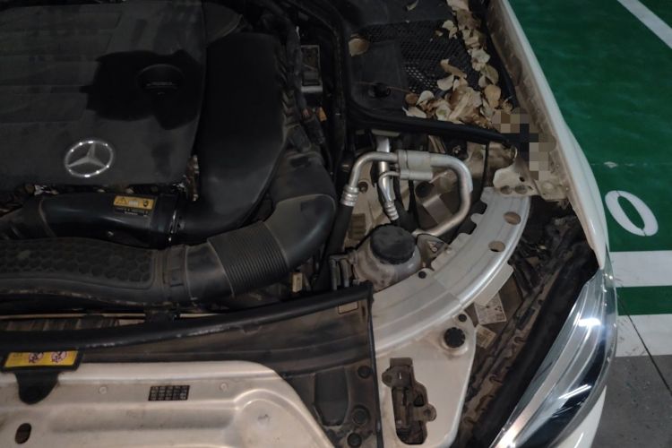 Used Mercedes-Benz C-Class 2020 C 260 L Sport Edition Engine Bay Left
