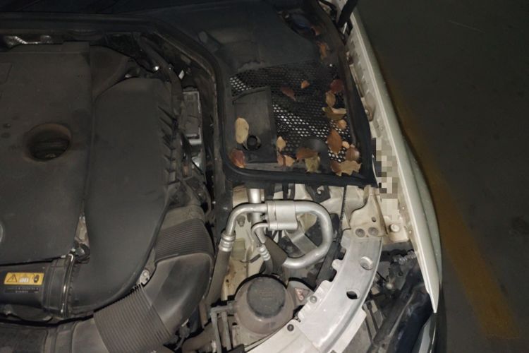 Used Mercedes-Benz C-Class 2020 C 260 L Sport Edition Engine Bay Left