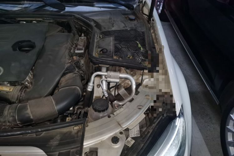Used Mercedes-Benz C-Class 2020 Restyled C 260 L Sport Edition Engine Bay Left