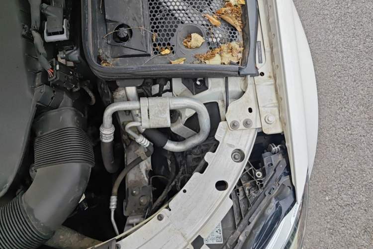 Used Mercedes-Benz C-Class 2020 C 200 L Fashion Edition Sport Version Engine Bay Left