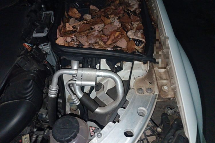 Used Mercedes-Benz C-Class 2020 Facelifted C 260 Estate Engine Bay Left