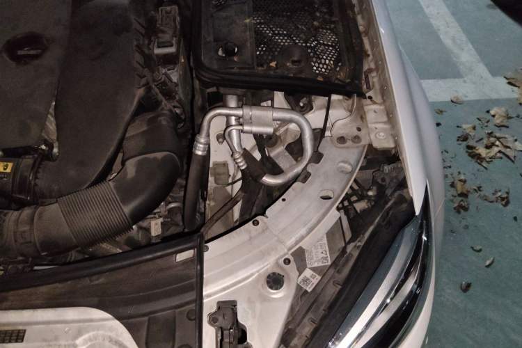 Used Mercedes-Benz C-Class 2020 Restyled C 200 L Fashion Edition Sport Version Engine Bay Left
