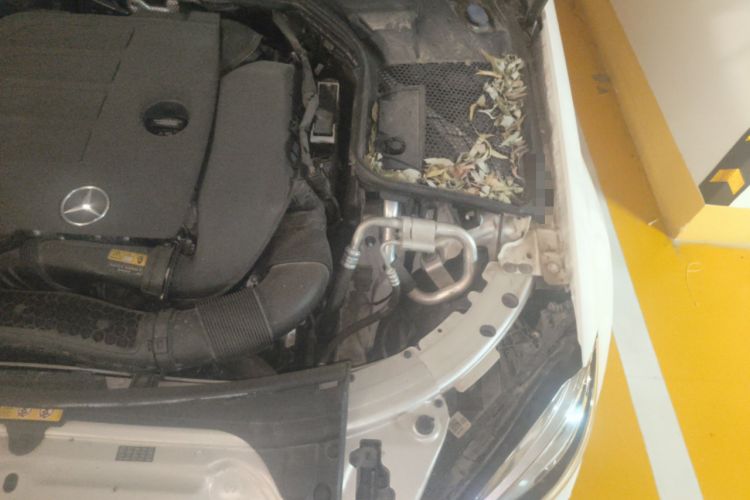 Used Mercedes-Benz C-Class 2020 C 200 L Fashion Edition Sport Version Engine Bay Left