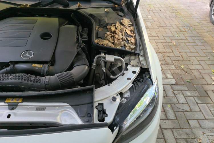 Used Mercedes-Benz C-Class 2020 Restyled C 200 L Dynamic Sports Edition Engine Bay Left