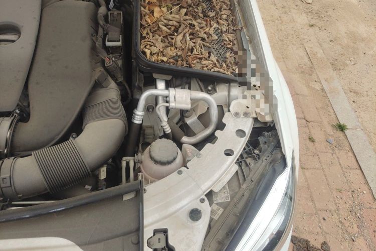 Used Mercedes-Benz C-Class 2020 Restyled C 260 Sport Edition Engine Bay Left