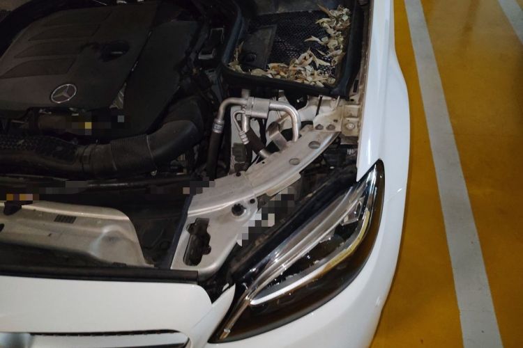 Used Mercedes-Benz C-Class 2020 C 200 L Fashion Edition Sport Version Engine Bay Left