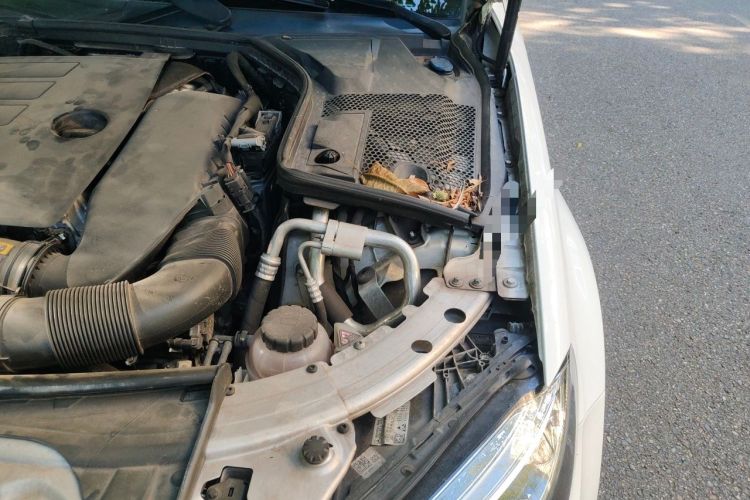 Used Mercedes-Benz C-Class 2020 C 260 L Sport Edition Engine Bay Left